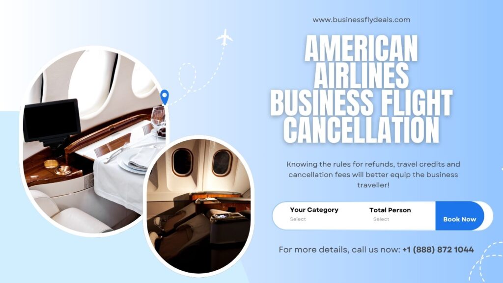 American Airlines Business Flight Cancellation